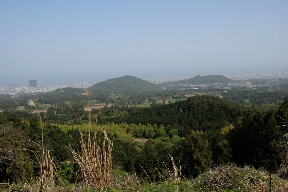 ED52B971-9E7C-418F-B231-17D4E692AFC9-727-000021F089D3CEA8.JPG?type=w1