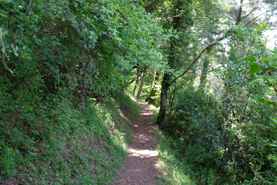 F4ABD8F5-15EC-4F4A-9908-A83D8C0B4B32-23874-0000053690BAB7BE.JPG?type=w1