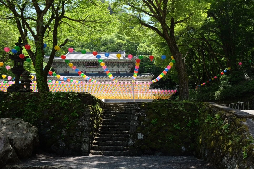 %EC%B2%9C%EC%99%95%EC%82%AC_%EB%8C%80%EC%9B%85%EC%A0%84_1.JPG?type=w966