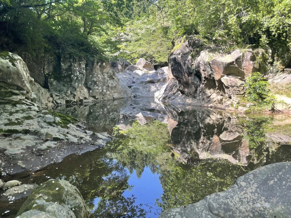 %EB%B0%A9%EC%84%A0%EB%AC%B8%EA%B3%84%EA%B3%A1_%EC%97%B4%EC%95%88%EC%A7%80_%EC%98%A4%EB%A6%84_%EA%B0%80%EB%8A%94%EA%B8%B8_5-2.jpg?type=w966