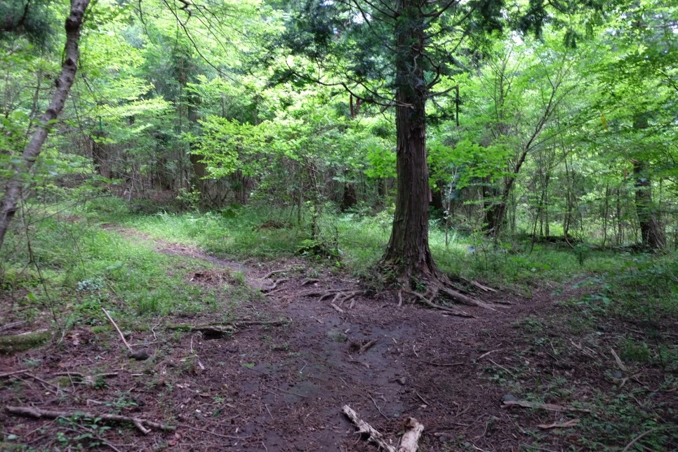 %EB%B0%A9%EC%84%A0%EB%AC%B8%EA%B3%84%EA%B3%A1_%EC%97%B4%EC%95%88%EC%A7%80_%EC%98%A4%EB%A6%84_%EC%A0%95%EC%83%81_%EA%B0%80%EB%8A%94%EA%B8%B8_6.JPG?type=w966