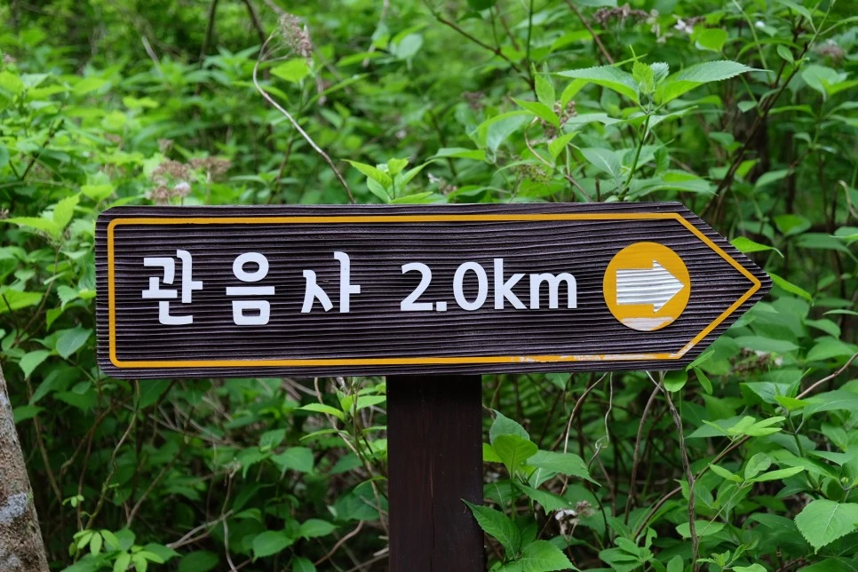 %EC%84%B8%EB%AF%B8%EC%96%91_%EC%98%A4%EB%A6%84_%EA%B4%80%EC%9D%8C%EC%82%AC_%EC%B2%AB_%EC%9D%B4%EC%A0%95%ED%91%9C.JPG?type=w966