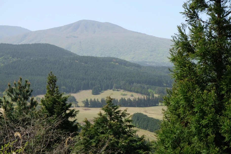 1D508A4A-191D-4692-94DE-3C78EF723C8B-727-000021F09AC6E097.JPG?type=w1