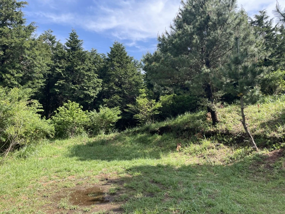 %EB%85%B8%EB%A3%A8%EC%86%90%EC%9D%B4_%EC%A0%95%EC%83%81.jpg?type=w966