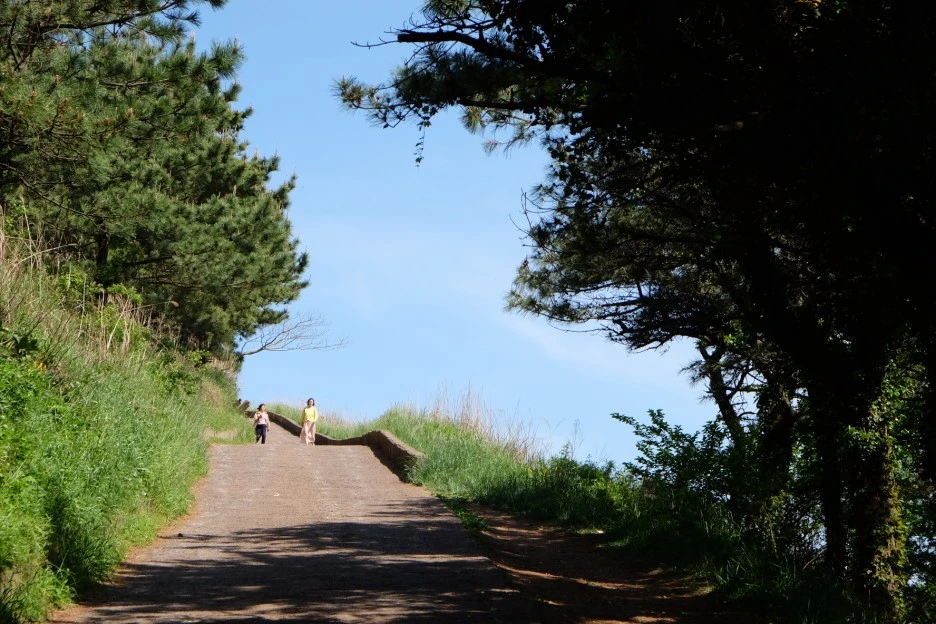 46F7105C-8E8E-4F08-8572-065F5A388680-13156-0000023542E665E2.JPG?type=w1