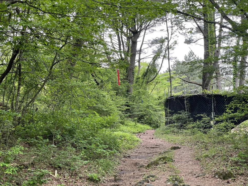 %EC%84%B8%EB%AF%B8%EC%96%91_%EC%98%A4%EB%A6%84_%EA%B4%80%EC%9D%8C%EC%82%AC_%EA%B0%80%EB%8A%94%EA%B8%B8_3.jpg?type=w966