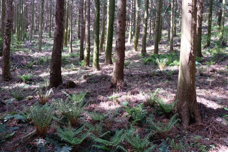 04BA5883-0D0D-4D96-B41B-E2150847BDB4-727-000021F0F969B06B.JPG?type=w1