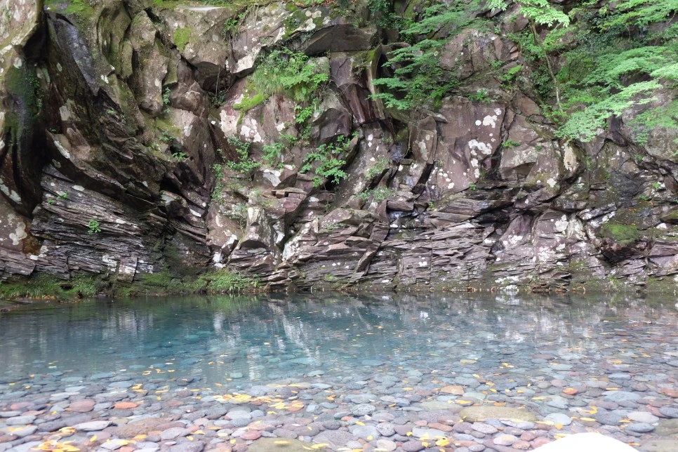 %EC%84%B8%EB%AF%B8%EC%96%91_%EC%98%A4%EB%A6%84_%EC%B9%BC%EB%8B%A4%EB%A6%AC_%ED%8F%AD%ED%8F%AC_3.JPG?type=w966