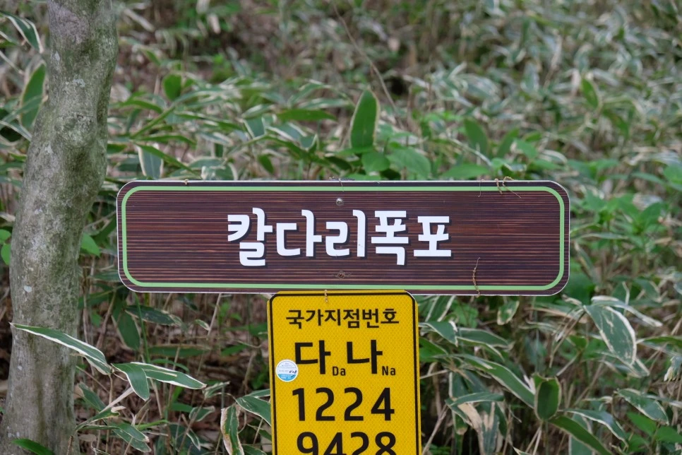 %EC%B9%BC%EB%8B%A4%EB%A6%AC_%ED%8F%AD%ED%8F%AC_%EC%9D%B4%EC%A0%95%ED%91%9C_1.JPG?type=w966