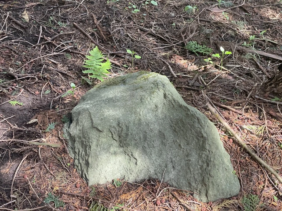 %EB%85%B8%EB%A3%A8%EC%86%90%EC%9D%B4_%EC%9D%B4%EB%81%BC%EB%8F%8C.1.jpg?type=w966