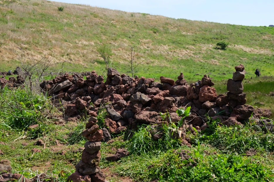 BA7144DC-BB8B-45E0-BA6C-58B8A31CDA91-13156-000002356F9D1C65.JPG?type=w1