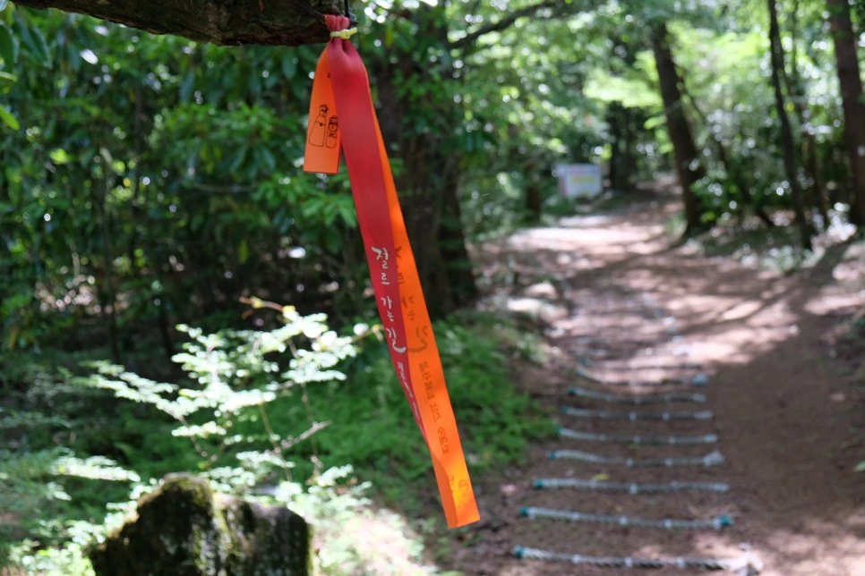 %EA%B3%A8%EB%A8%B8%EB%A6%AC%EC%98%A4%EB%A6%84_%EC%A0%88%EB%A1%9C%EA%B0%80%EB%8A%94%EA%B8%B8.JPG?type=w966