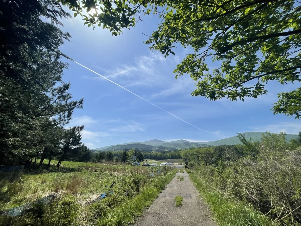 %EB%85%B8%EB%A3%A8%EC%86%90%EC%9D%B4_%ED%95%98%EC%82%B0_%ED%95%98%EB%8A%98%EA%B8%B8.jpg?type=w966