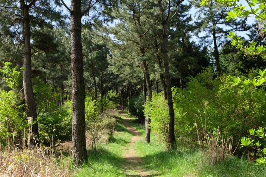 21BEE547-62D2-4A00-8280-9C50BF5DA523-727-000021F0C08FDC6C.JPG?type=w1