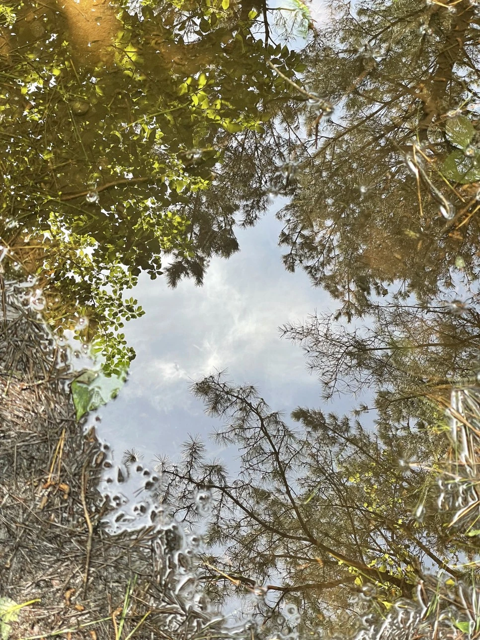 %EB%85%B8%EB%A3%A8%EC%86%90%EC%9D%B4_%EB%AC%BC_%EB%B0%98%EC%82%AC%EC%82%AC%EC%A7%842.jpg?type=w966