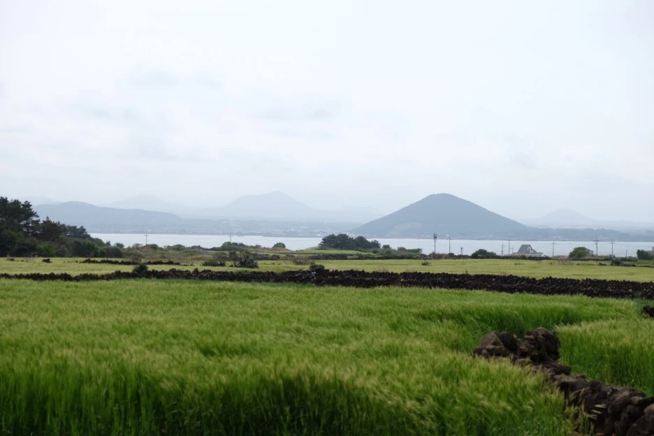 99E0717C-29C3-445B-A761-0C3C01CB03C4-85902-0000205C0BC7B480.JPG?type=w1