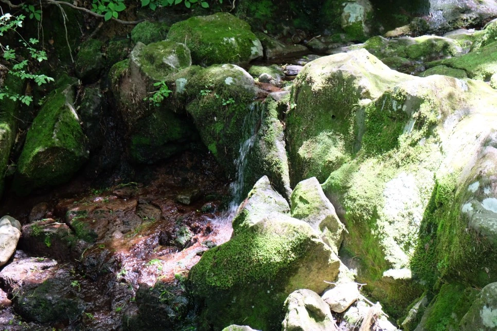 %EC%B2%9C%EC%99%95%EC%82%AC_%EA%B3%84%EA%B3%A1_2.JPG?type=w966