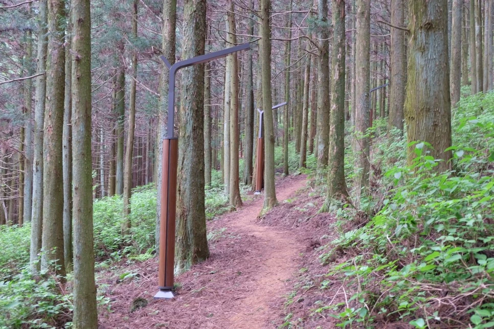 %EC%84%B8%EB%AF%B8%EC%96%91_%EC%98%A4%EB%A6%84_%EA%B0%80%EB%A1%9C%EB%93%B1.JPG?type=w966