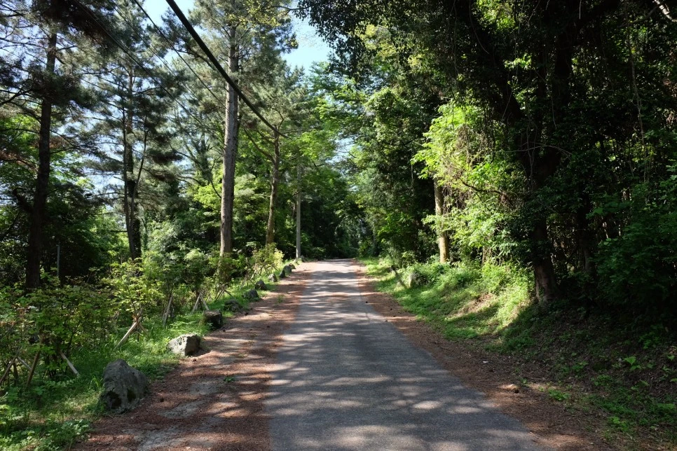 %EB%B0%A9%EC%84%A0%EB%AC%B8%EA%B3%84%EA%B3%A1_%EC%97%B4%EC%95%88%EC%A7%80_%EC%98%A4%EB%A6%84_%EA%B0%80%EB%8A%94%EA%B8%B8_1.JPG?type=w966