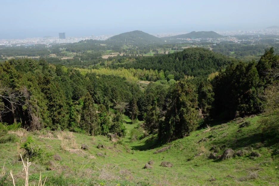 63FBED9D-EE0B-483E-8C16-81E5CEC97F6F-727-000021F084C9CE67.JPG?type=w1