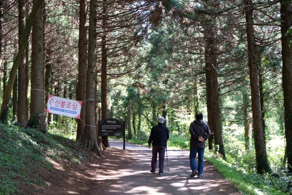 3D0A2586-F915-44F6-B378-F4BAFA7024FF-13156-000002351D4C5AB2.JPG?type=w1