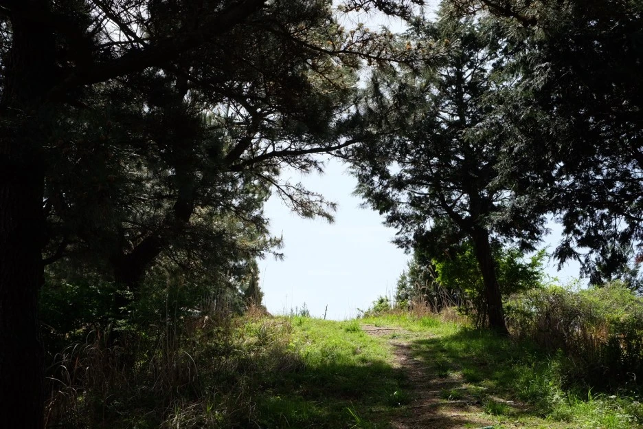 1AB4CDC3-C760-49F2-803F-A1A6DB1C3BFB-727-000021F0B82E4E6D.JPG?type=w1