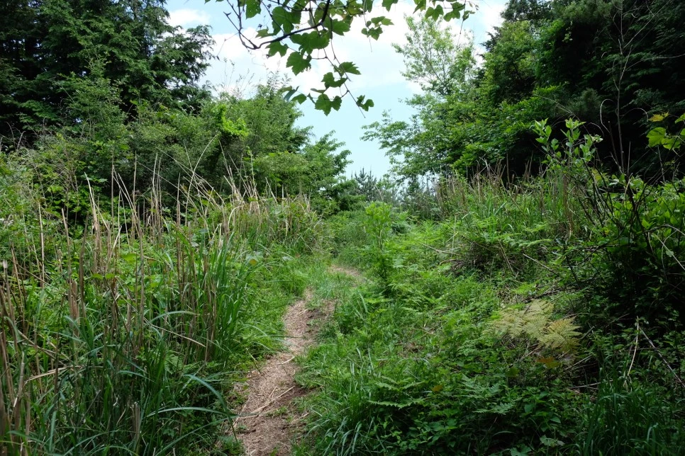 %EB%B0%A9%EC%84%A0%EB%AC%B8%EA%B3%84%EA%B3%A1_%EC%97%B4%EC%95%88%EC%A7%80_%EC%98%A4%EB%A6%84_%EC%A0%95%EC%83%81_%EA%B0%80%EB%8A%94%EA%B8%B8_13.JPG?type=w966