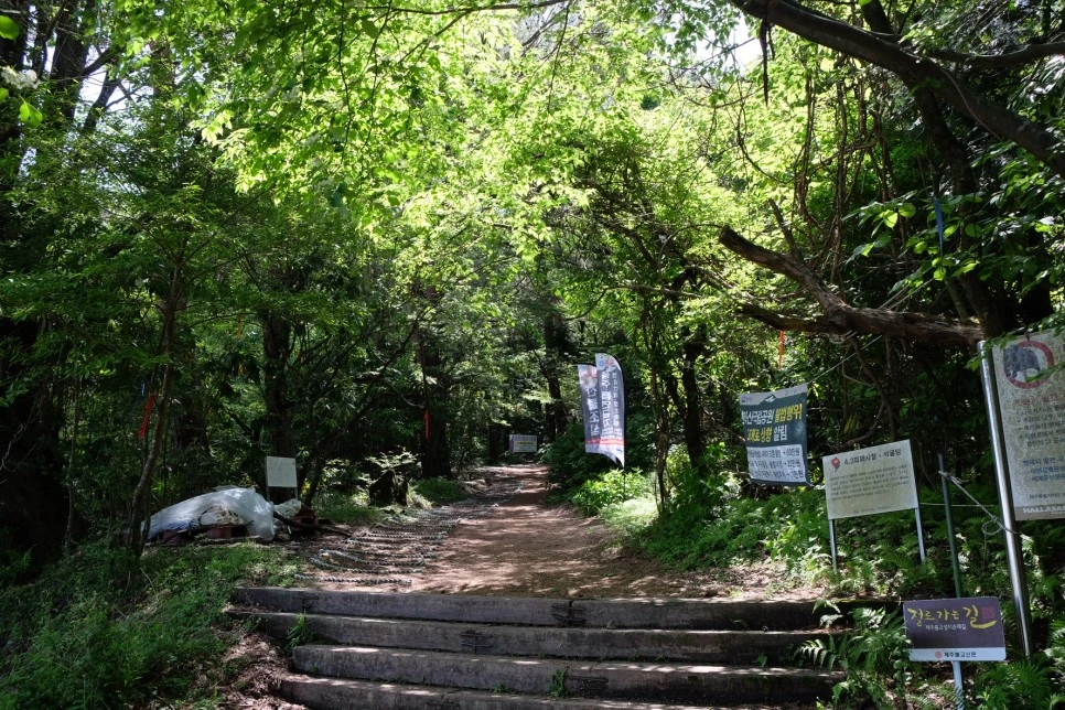 %EA%B3%A8%EB%A8%B8%EB%A6%AC%EC%98%A4%EB%A6%84_%EC%84%9D%EA%B5%B4%EC%95%94_%EC%9E%85%EA%B5%AC.JPG?type=w966