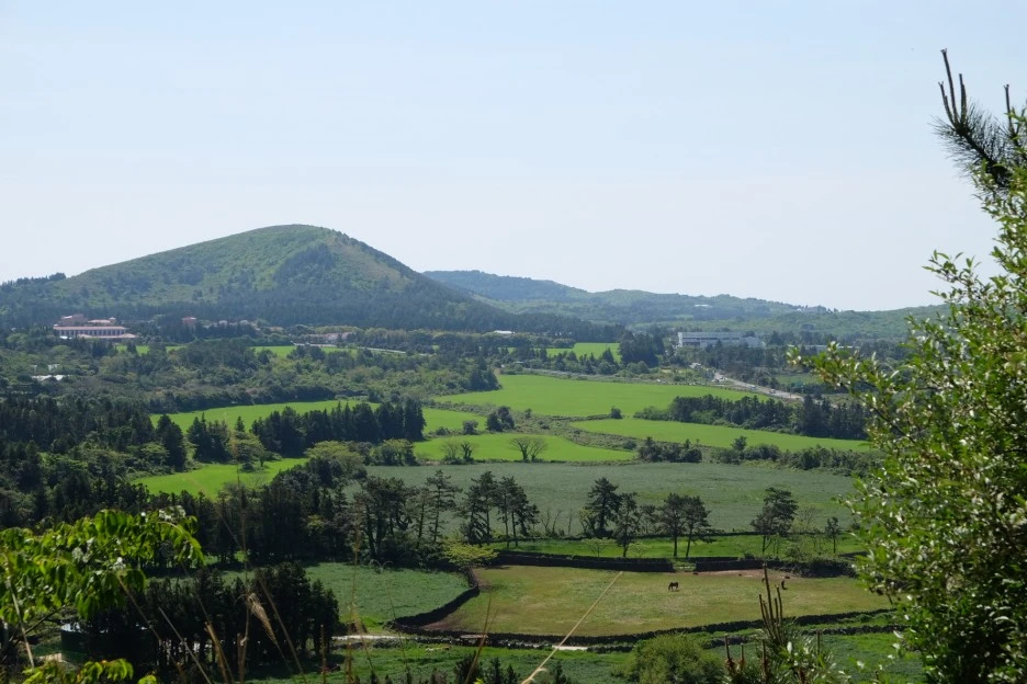 B2375B10-1B00-4EF9-B610-A92B6B8706BF-13156-000002353FCAD133.JPG?type=w1