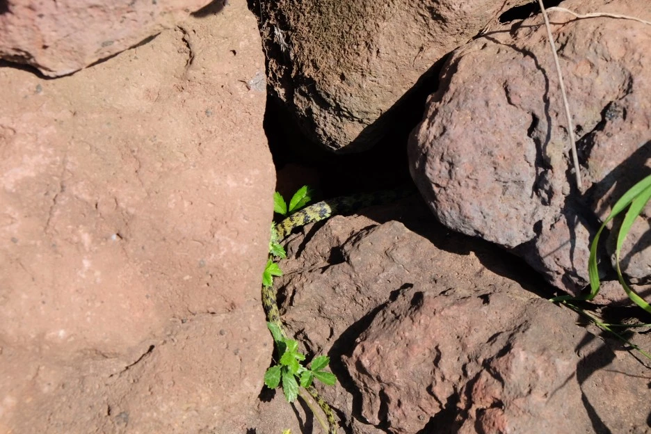 00731943-C79F-40E3-AE79-9B4D3E264F0C-13156-000002357C67F410.JPG?type=w1