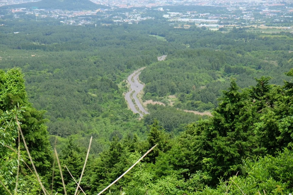 %EB%B0%A9%EC%84%A0%EB%AC%B8%EA%B3%84%EA%B3%A1_%EC%97%B4%EC%95%88%EC%A7%80_%EC%98%A4%EB%A6%84_%EC%A0%95%EC%83%81_5.JPG?type=w966