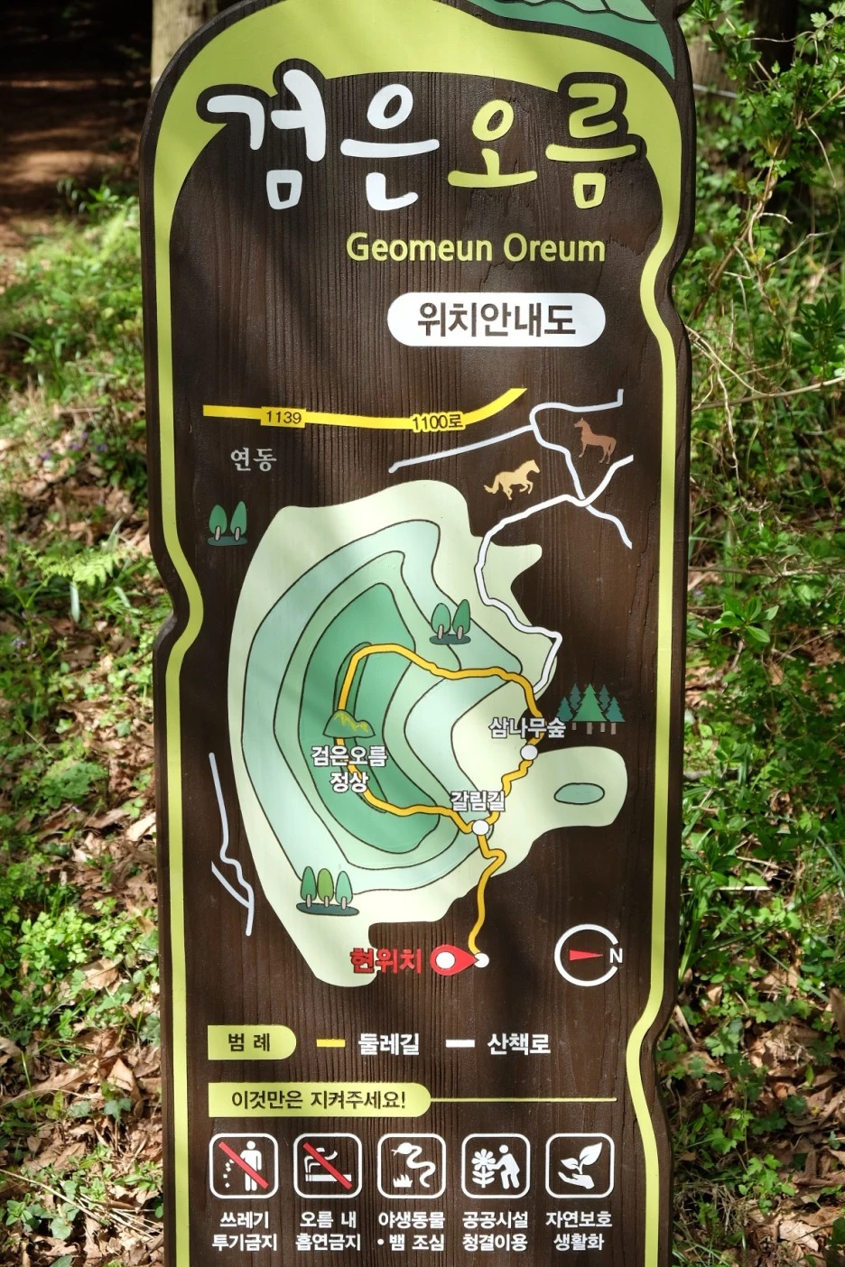 8B70F36A-EEB4-436E-8EE8-53F20EFFF2CE-727-000021F110A117B4.JPG?type=w1