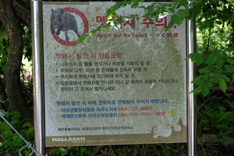 %EA%B3%A8%EB%A8%B8%EB%A6%AC%EC%98%A4%EB%A6%84_%EB%A7%B7%EB%8F%BC%EC%A7%80.JPG?type=w966