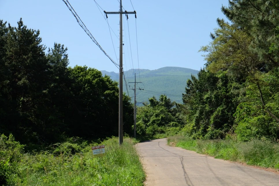 %EB%B0%A9%EC%84%A0%EB%AC%B8%EA%B3%84%EA%B3%A1_%EC%97%B4%EC%95%88%EC%A7%80_%EC%98%A4%EB%A6%84_%EA%B0%80%EB%8A%94%EA%B8%B8_7.JPG?type=w966