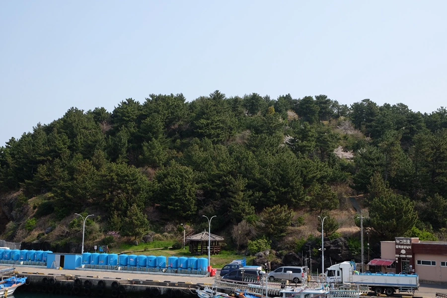 24F671DA-4373-4C47-926C-375D07A472C7-29599-000005DCF447049B.jpg?type=w1