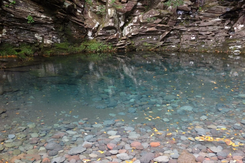 %EC%B9%BC%EB%8B%A4%EB%A6%AC_%ED%8F%AD%ED%8F%AC_1.JPG?type=w966