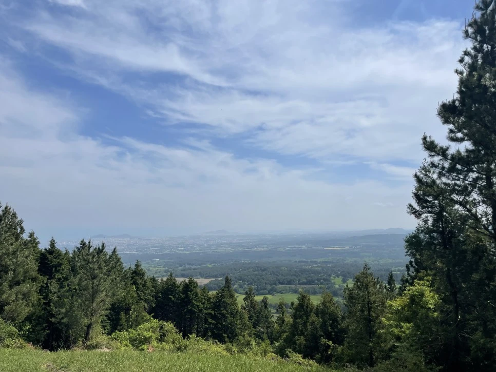 %EB%85%B8%EB%A3%A8%EC%86%90%EC%9D%B4_%ED%9E%88%EB%93%A0%EC%9E%A5%EC%86%A1.jpg?type=w966