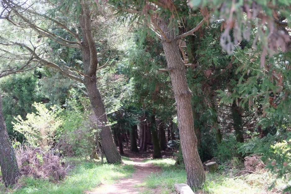 9A6BDA3B-D525-4A05-AF4D-DAB3EEEABFE1-727-000021F094A1F723.JPG?type=w1