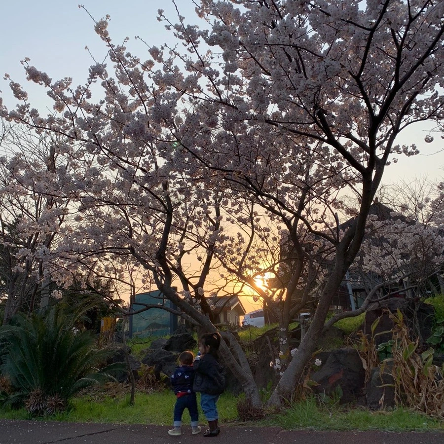 IMG_6902.JPG?type=w1