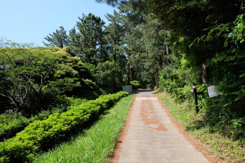 %EB%B0%A9%EC%84%A0%EB%AC%B8%EA%B3%84%EA%B3%A1_%EC%97%B4%EC%95%88%EC%A7%80_%EC%98%A4%EB%A6%84_%EA%B0%80%EB%8A%94%EA%B8%B8_2.JPG?type=w966