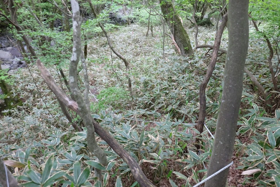 %EC%84%B8%EB%AF%B8%EC%96%91_%EC%98%A4%EB%A6%84_%EC%A1%B0%EB%A6%BF%EB%8C%80_2.JPG?type=w966