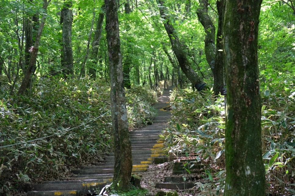 %EA%B3%A8%EB%A8%B8%EB%A6%AC%EC%98%A4%EB%A6%84_%EC%84%9D%EA%B5%B4%EC%95%94_%EC%98%A4%EB%A5%B4%EB%A7%89_1.JPG?type=w966