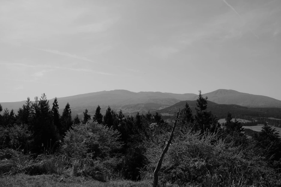 768D9FA0-F424-433D-8A64-26838E777FEE-727-000021F0ABEDE0BF.JPG?type=w1