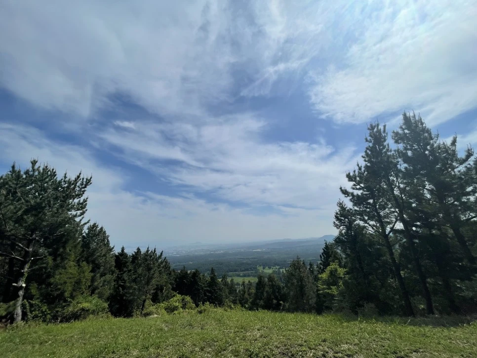 %EB%85%B8%EB%A3%A8%EC%86%90%EC%9D%B4_%ED%9E%88%EB%93%A0%EC%9E%A5%EC%86%A11.jpg?type=w966