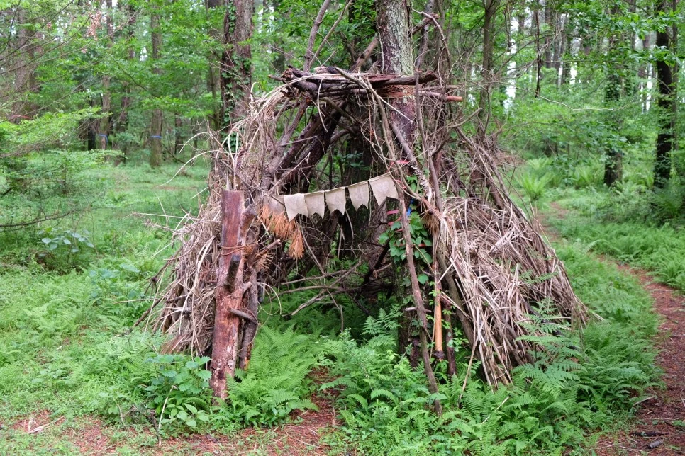 %EB%85%B8%EB%A3%A8%EC%86%90%EC%9D%B4_%EC%98%A4%EB%A6%84_%EC%A7%91.JPG?type=w966