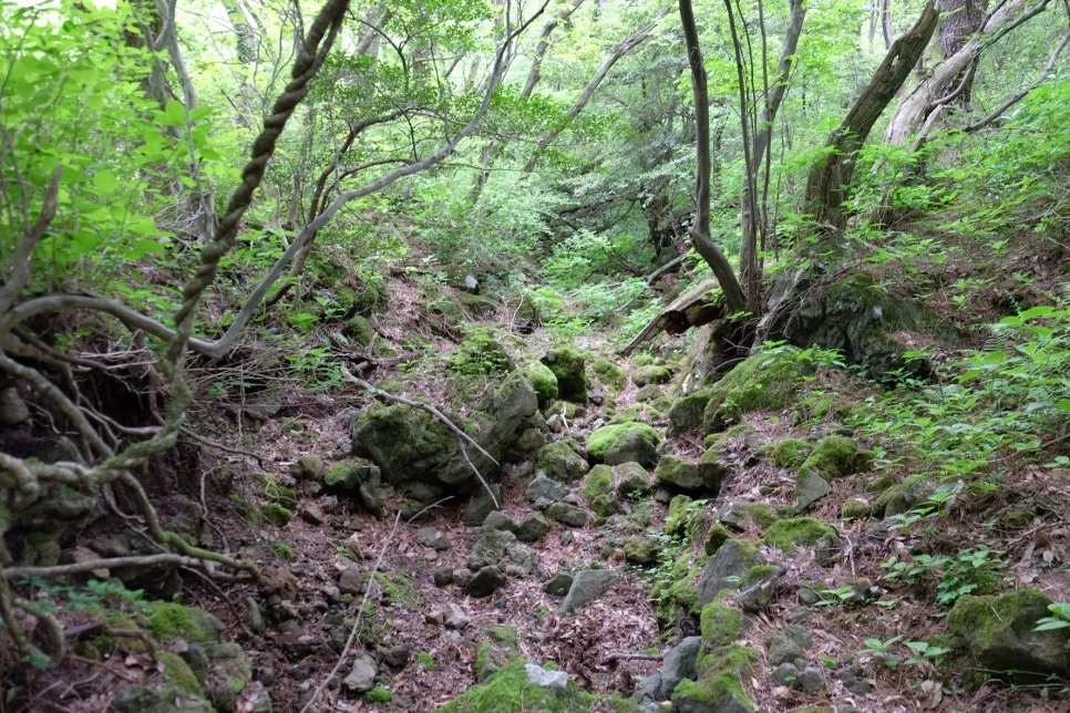 %EC%84%B8%EB%AF%B8%EC%96%91_%EC%98%A4%EB%A6%84_%EC%82%BC%EC%9D%98%EC%95%85_%EC%83%98_%EA%B3%84%EA%B3%A1.JPG?type=w966