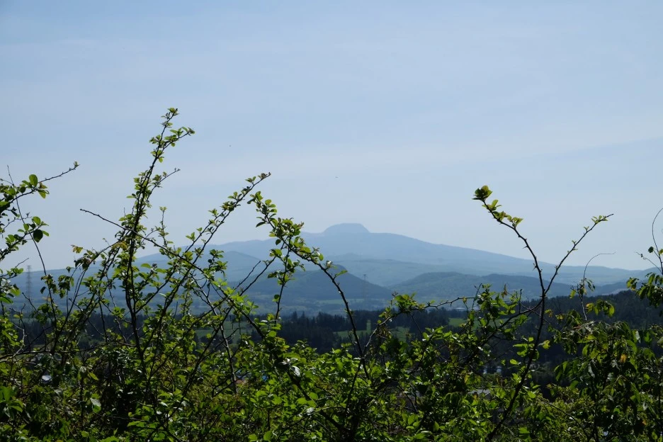 57007654-2D2E-4448-BC63-6459AC592E34-13156-000002353A0E85F2.JPG?type=w1