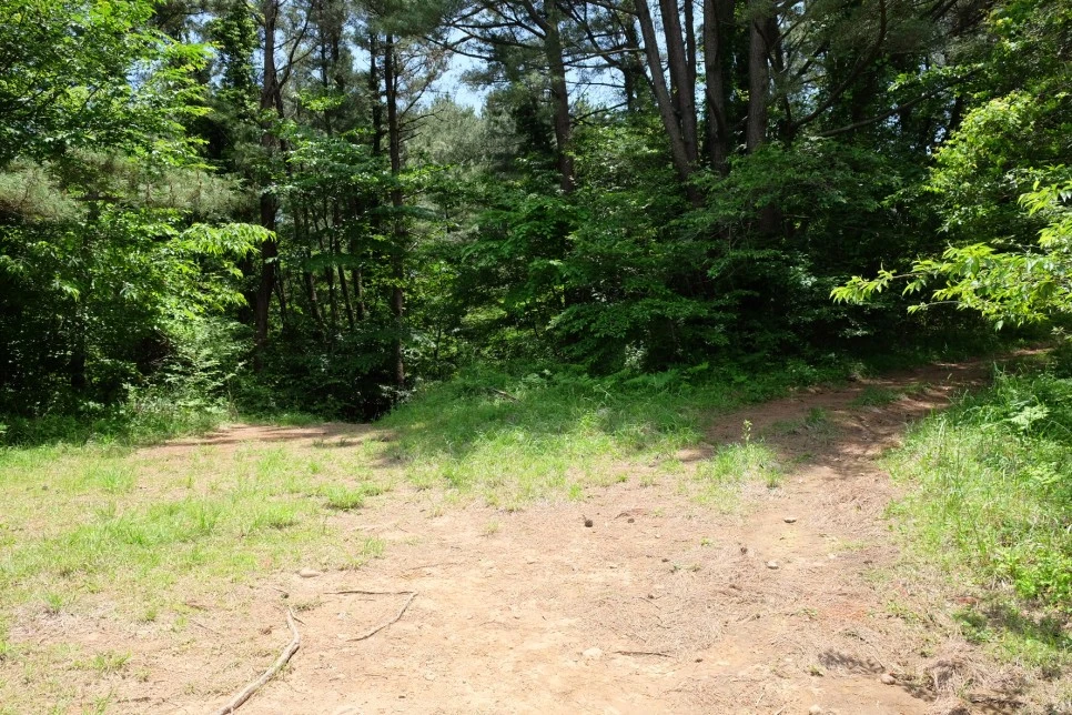 %EB%B0%A9%EC%84%A0%EB%AC%B8%EA%B3%84%EA%B3%A1_%EC%97%B4%EC%95%88%EC%A7%80_%EC%98%A4%EB%A6%84_%EA%B0%80%EB%8A%94%EA%B8%B8_14-2.JPG?type=w966