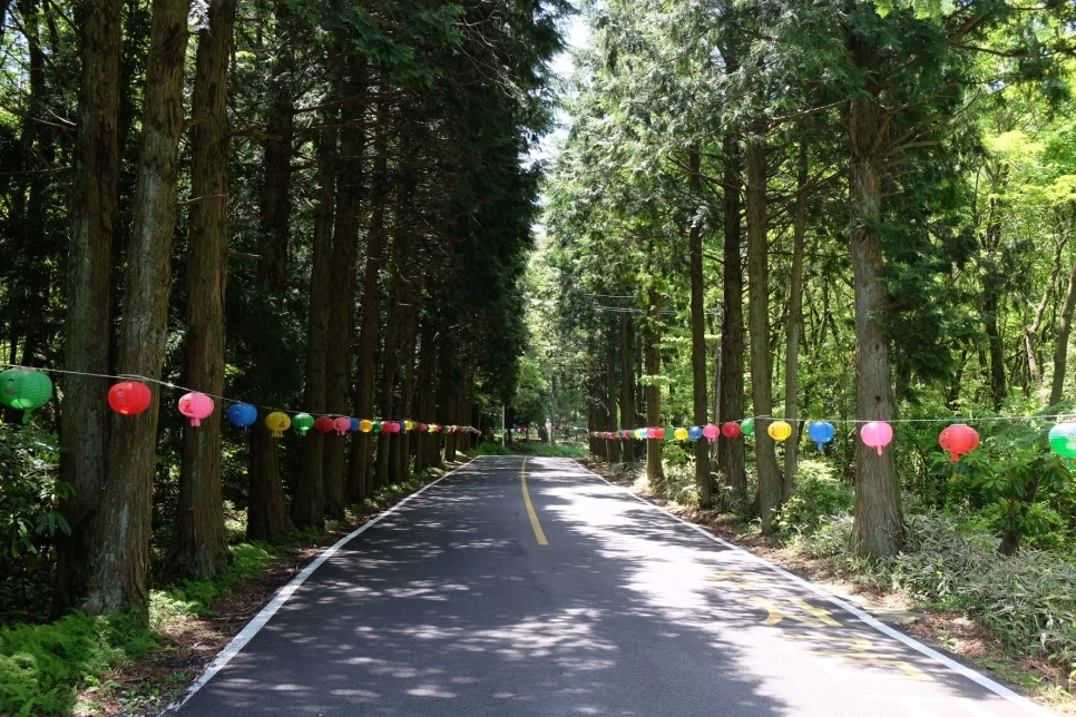 %EC%B2%9C%EC%99%95%EC%82%AC_%EC%B4%88%EC%9E%85_2.JPG?type=w966