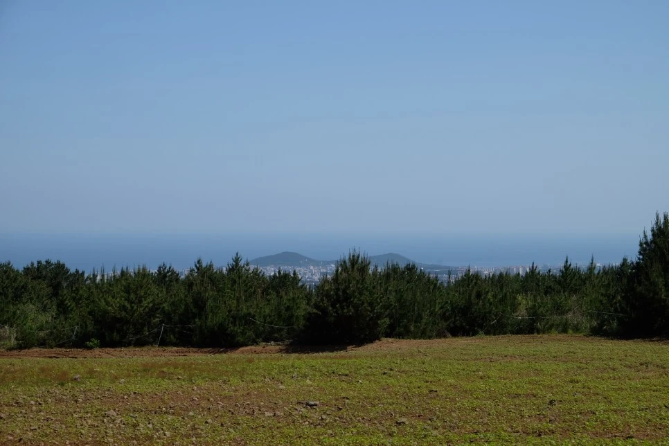 %EB%B0%A9%EC%84%A0%EB%AC%B8%EA%B3%84%EA%B3%A1_%EC%97%B4%EC%95%88%EC%A7%80_%EC%98%A4%EB%A6%84_%EA%B0%80%EB%8A%94%EA%B8%B8_10.JPG?type=w966